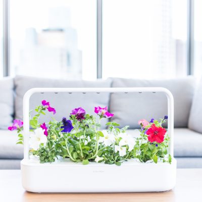nutiaed SMART GARDEN 9 by Click and Grow