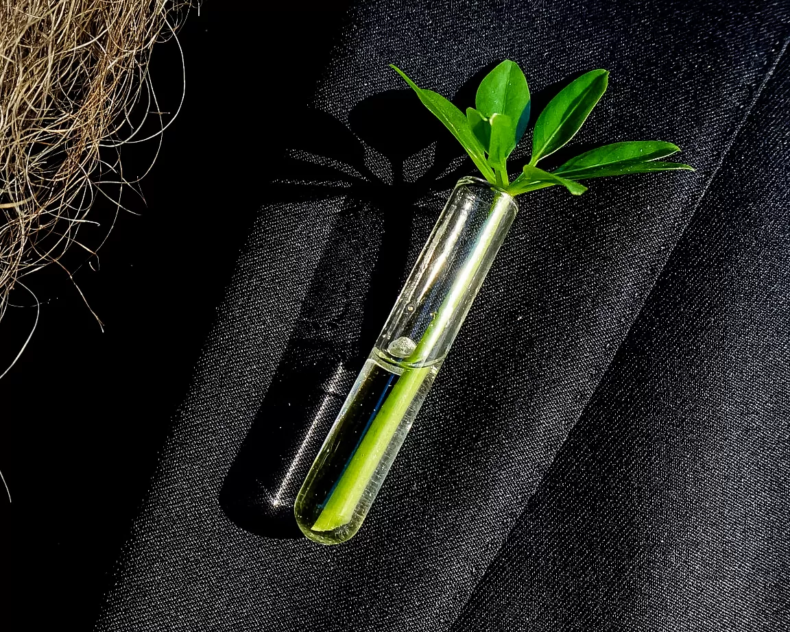 rinnavaas InPin by Kalli Sein