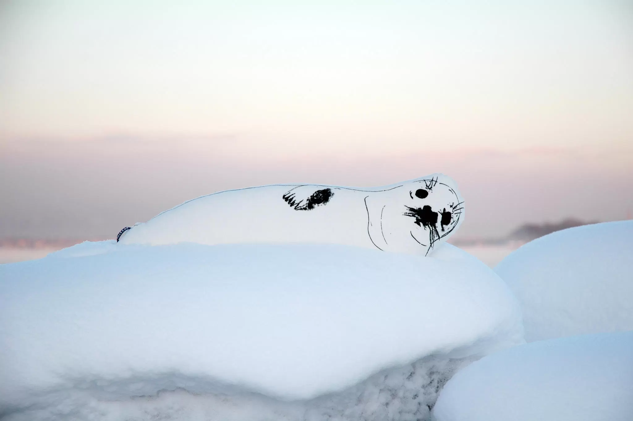 pillow HÜLJES by Pillezoo