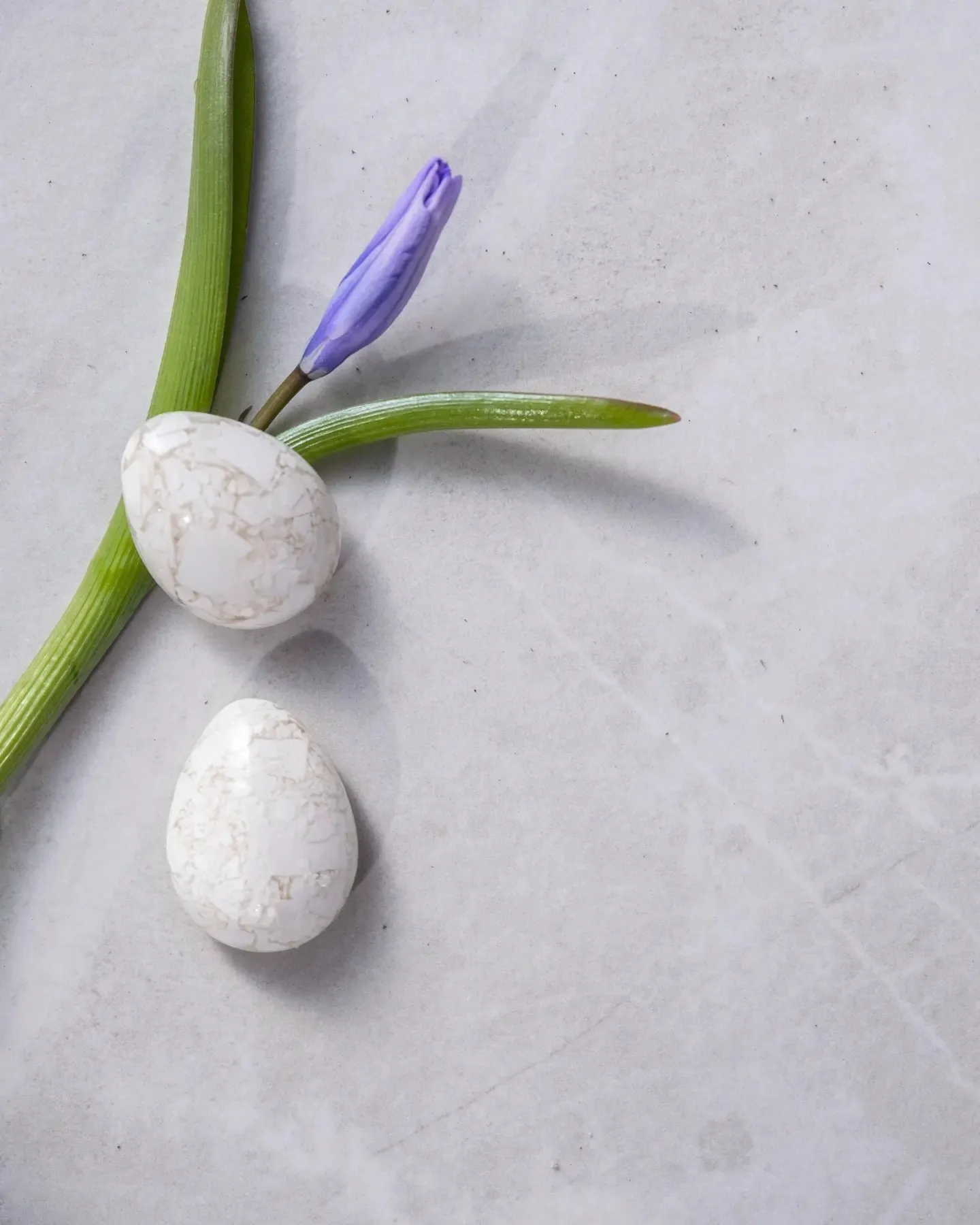 earrings SCRAMBLED EGGS MUNA by Laura Saks