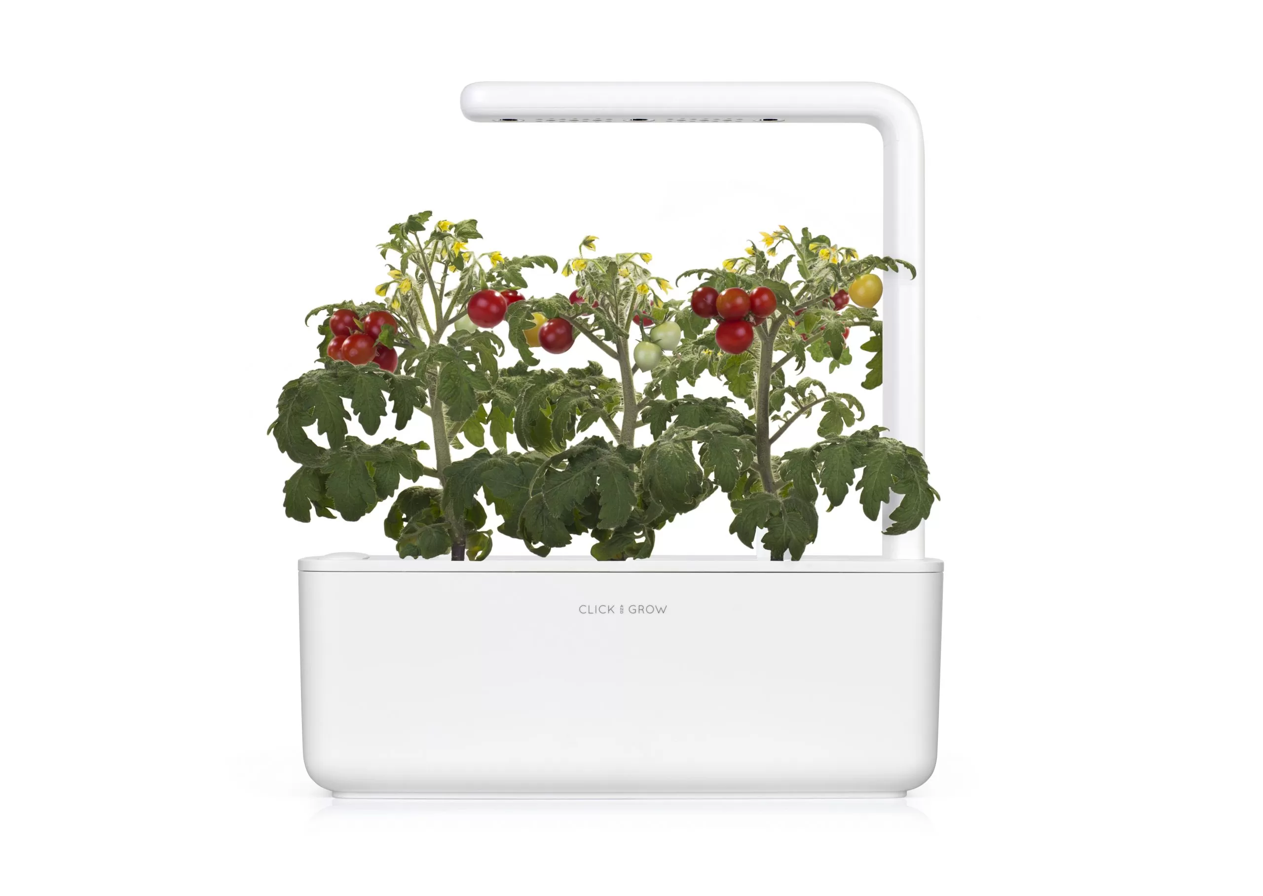 indoor garden SMART GARDEN 3 by Click and Grow