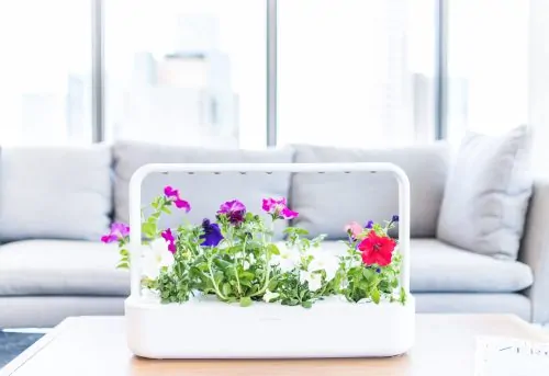 nutiaed SMART GARDEN 9 by Click and Grow