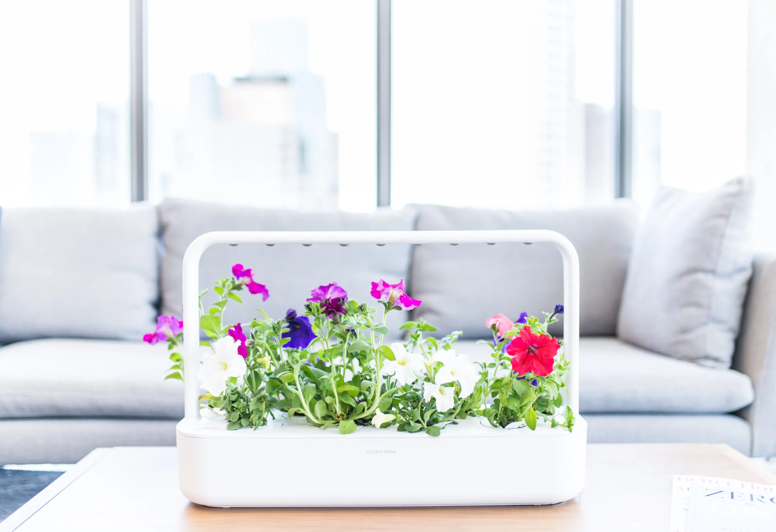 indoor garden SMART GARDEN 9 by Click and Grow