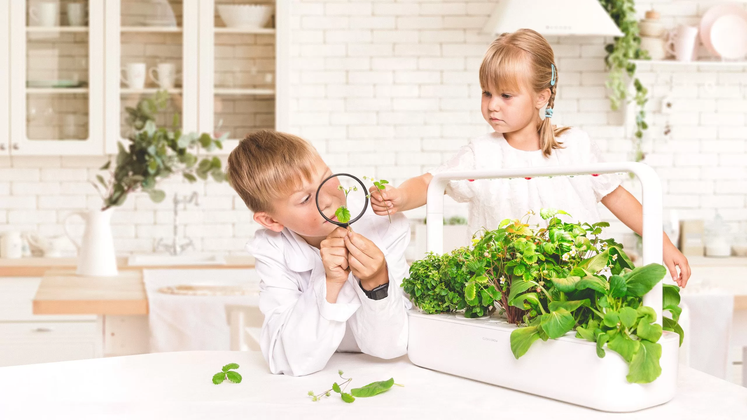 indoor garden SMART GARDEN 9 by Click and Grow
