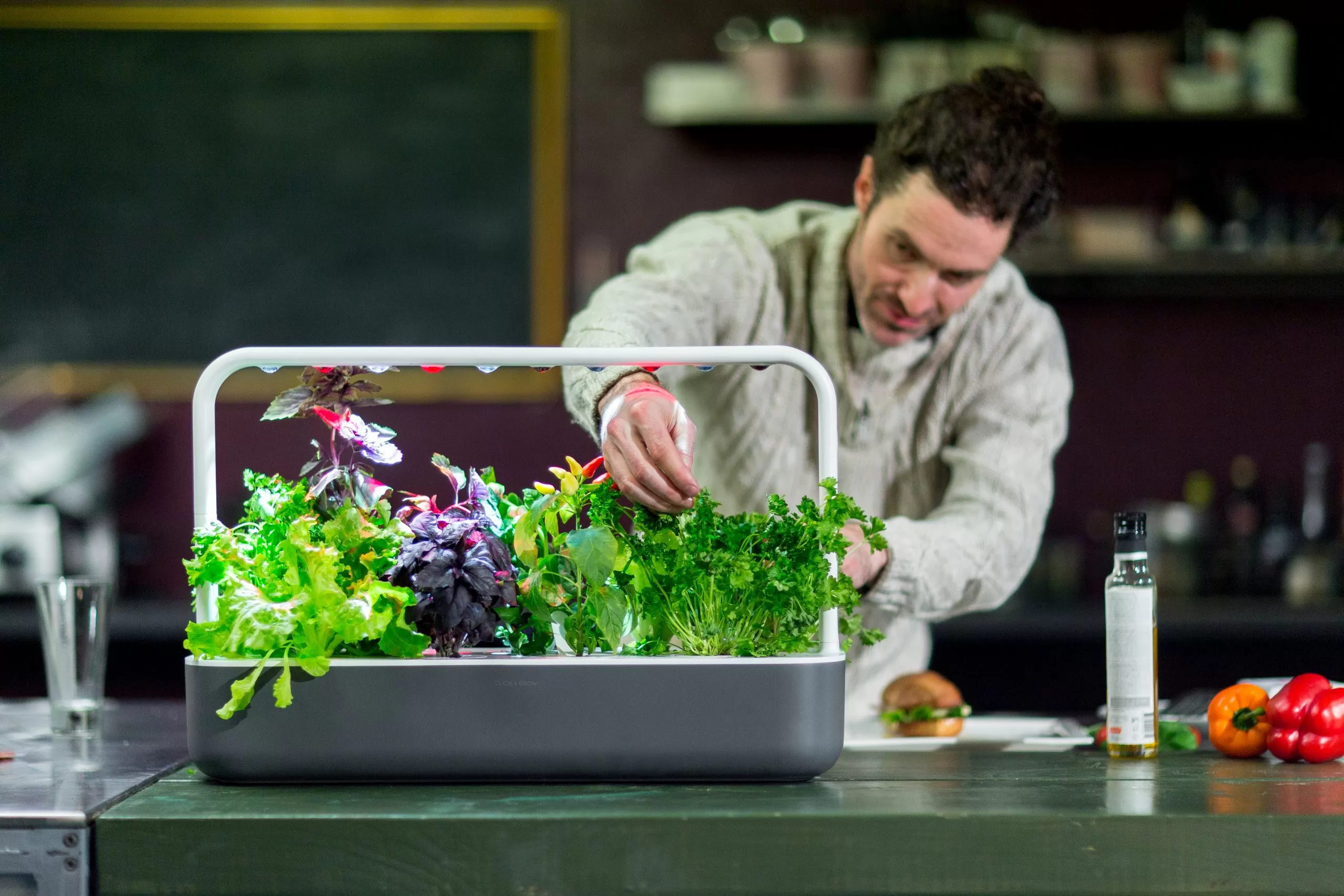 indoor garden SMART GARDEN 9 by Click and Grow