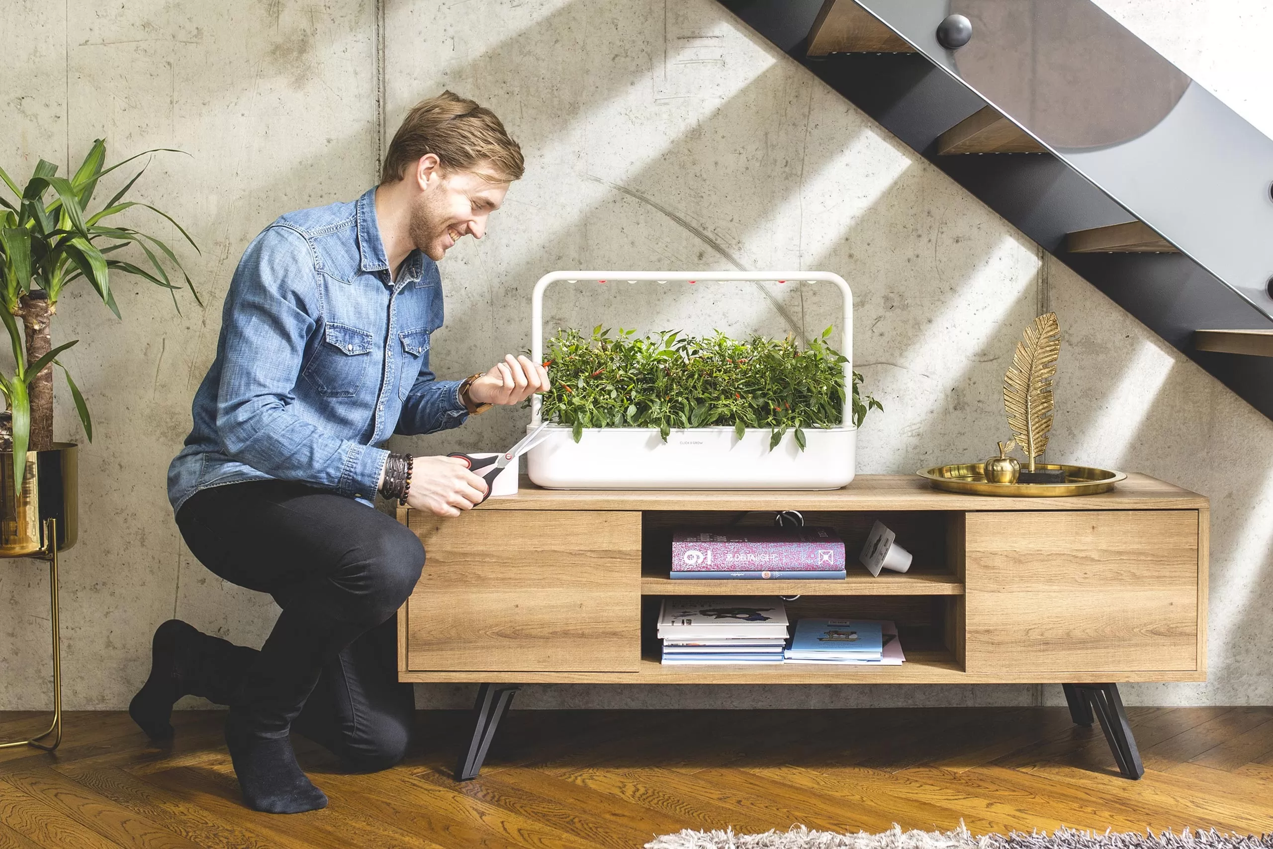 indoor garden SMART GARDEN 9 PRO by Click and Grow