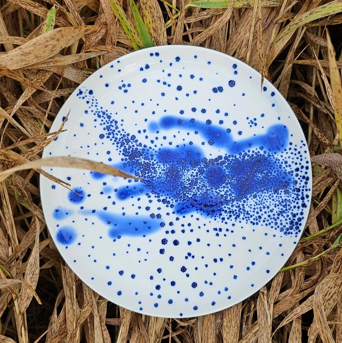 plate LINNUTEE by KärdikDisain