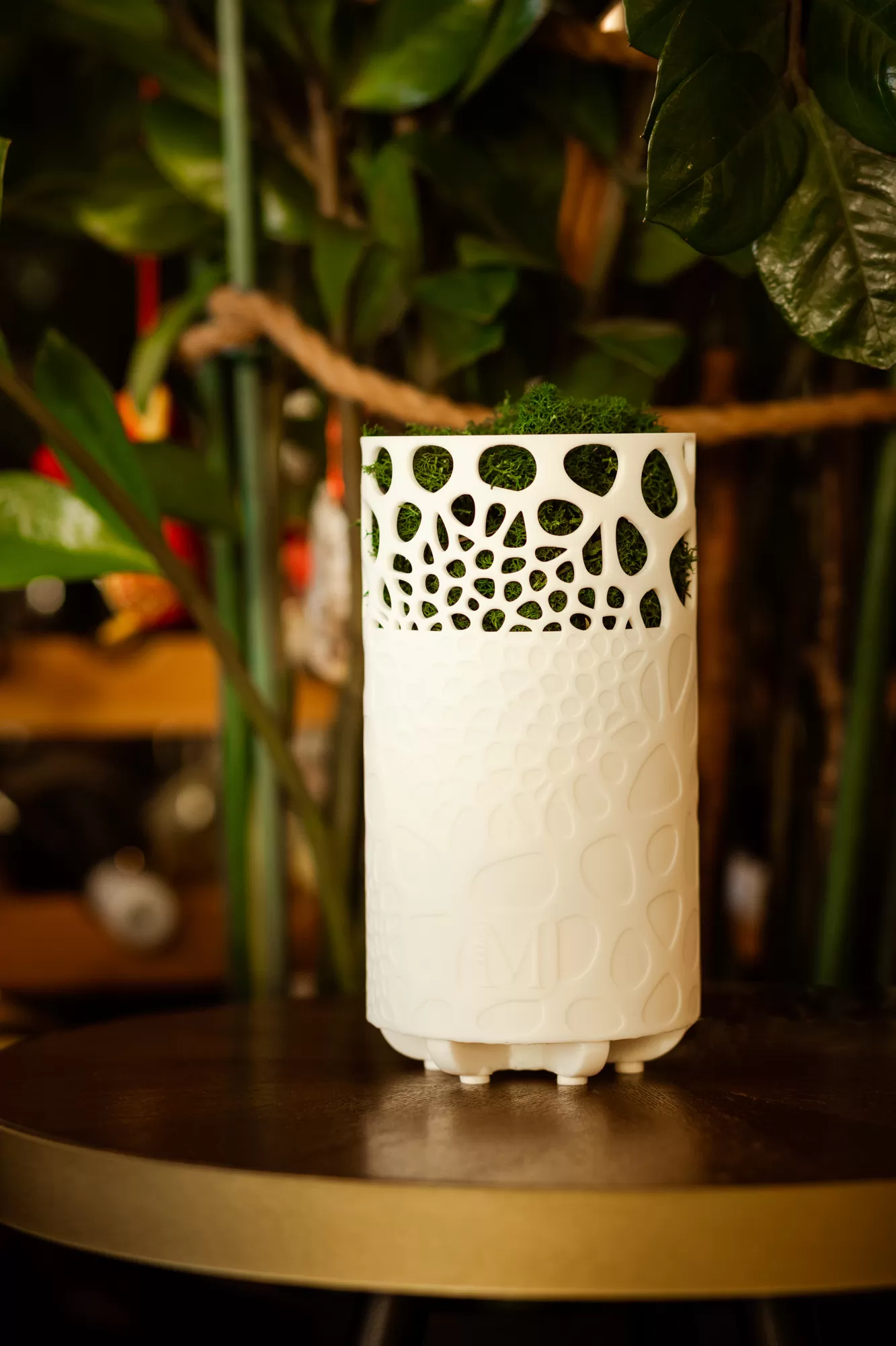 air purifier MOSSY byMossy