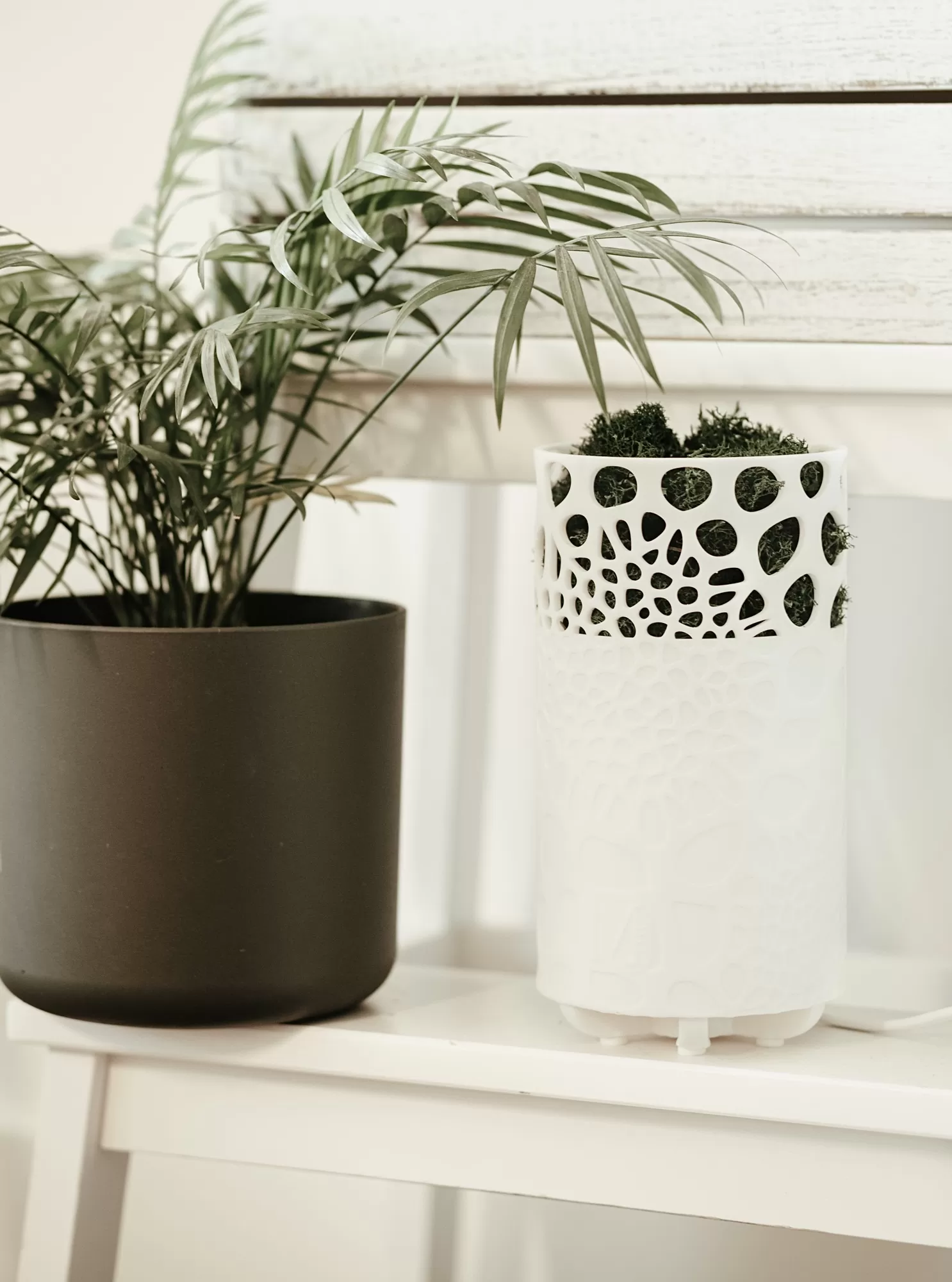 air purifier MOSSY byMossy