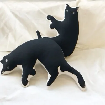 diivanipadi KASS by Pillezoo