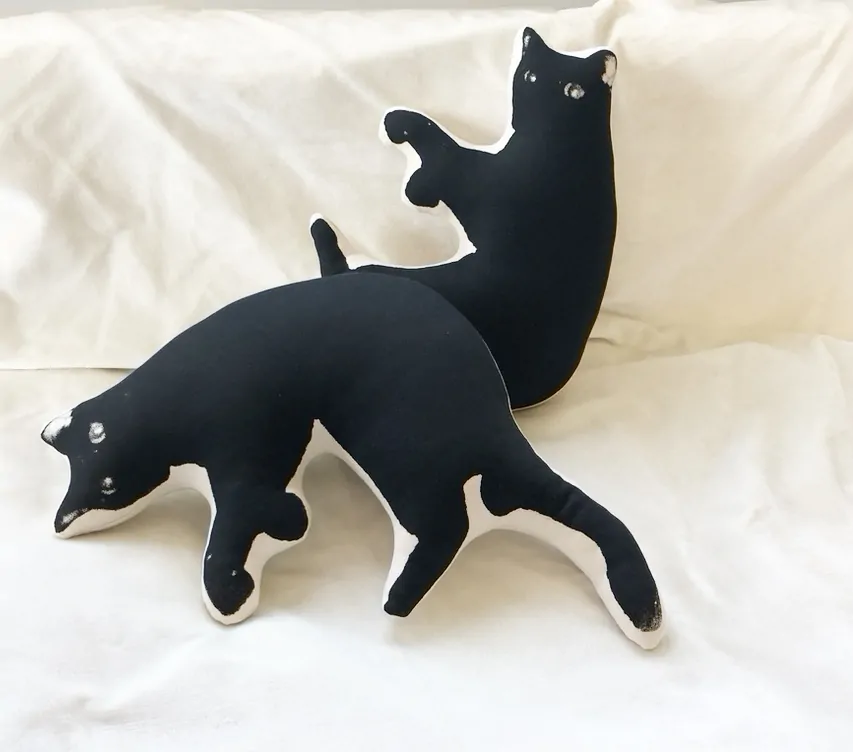 diivanipadi KASS by Pillezoo